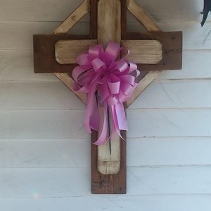 Fundraising Page: Abbey Lanz